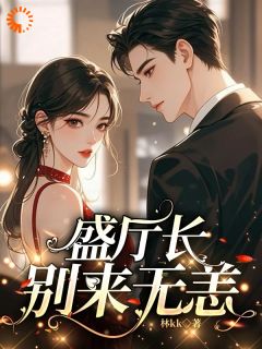 《白筱帆盛延》全文免费章节在线试读 盛厅长别来无恙小说