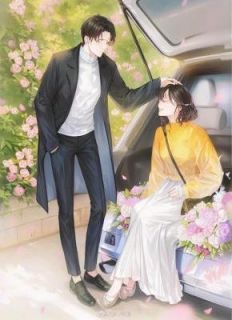 积烬燃光